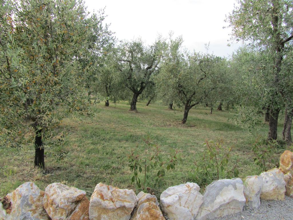Agriturismo Borghetto Il Montino Раполано-Терме Екстер'єр фото